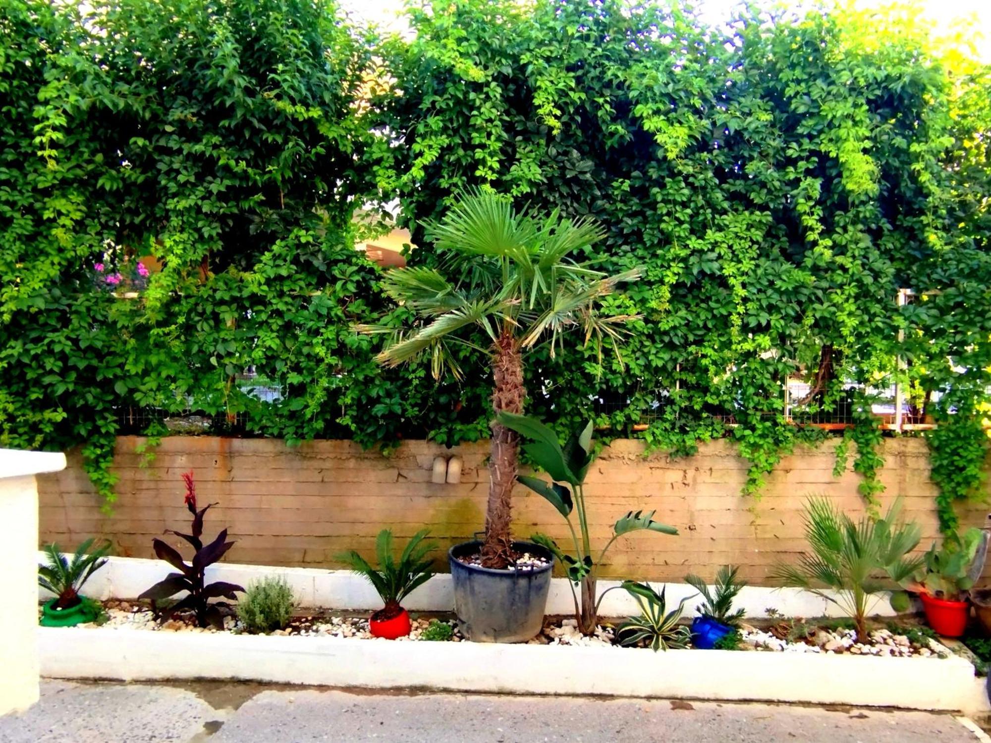 Antonia'S Cozy Apartment Agia Triada  Exterior foto